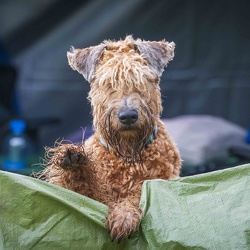 2025-08-30 RO Hörbranz