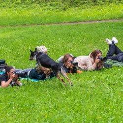 2025-08-23 Foto Führerschein Making Of