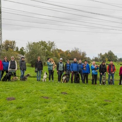 2025-10-11 BHVT- Ortsgruppen Turnier