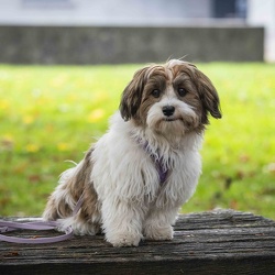 2025-10-19 HVD Kursabschluß