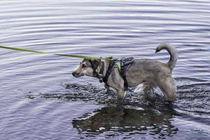 2025-12-31 HVD Silvesterspaziergang-0007