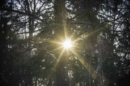 2025-12-31 HVD Silvesterspaziergang-0036