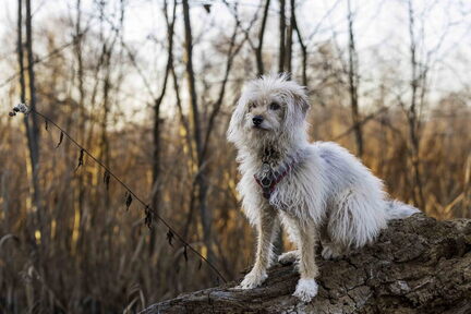 2025-12-31 HVD Silvesterspaziergang-0042