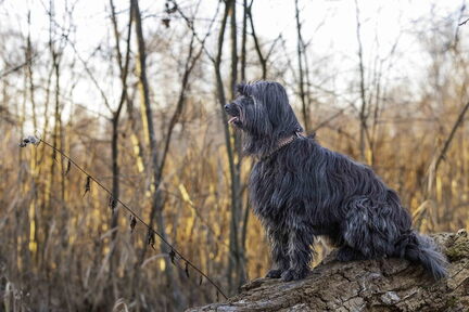 2025-12-31 HVD Silvesterspaziergang-0044