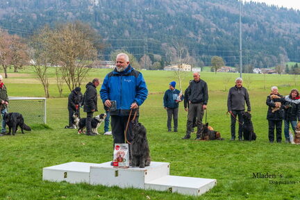 2026-03-23 BHVT &amp; FH 51