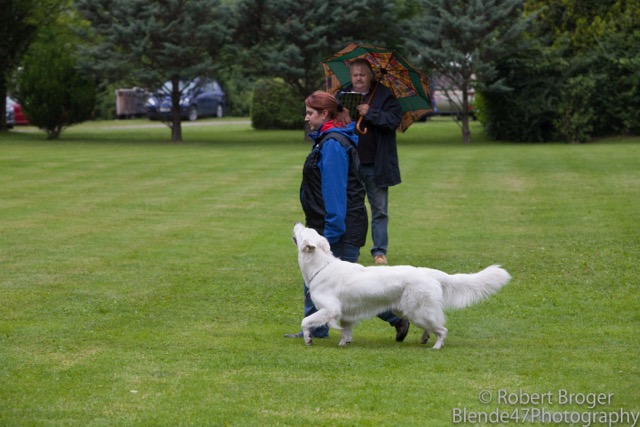 _MG_9343.jpg
